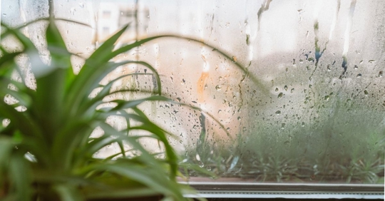 window with condensation